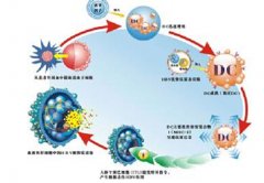 治療龜頭炎的費(fèi)用